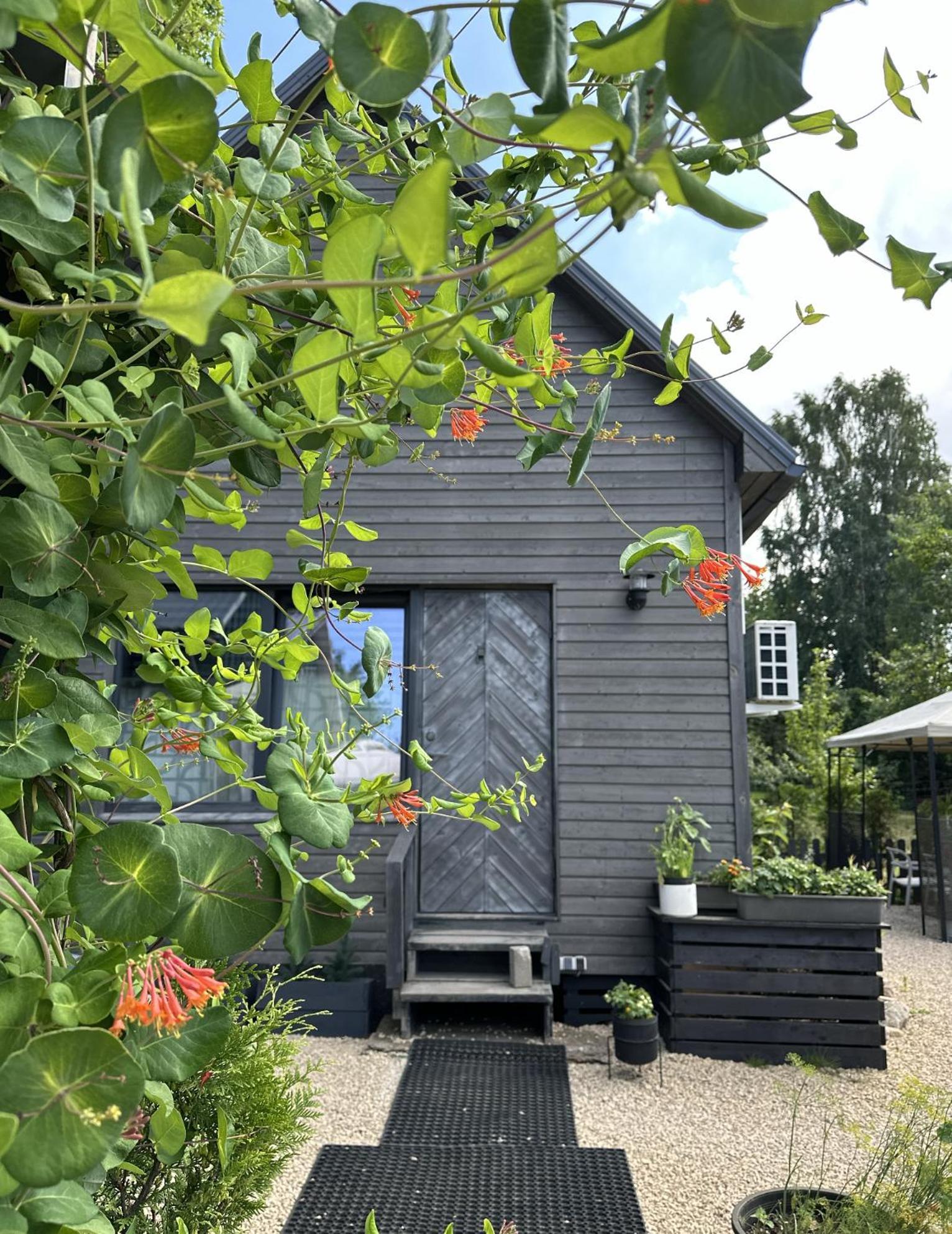 Вилла Amazing Little House On An Island With Garden Рига Экстерьер фото